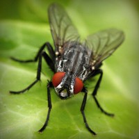 /album/mi-web/photolia-a01-jpg/