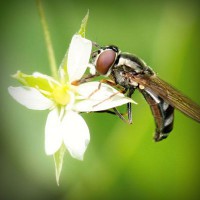 /album/mi-web/photolia-a02-jpg/