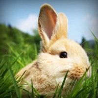 /album/mi-web/photolia-a03-jpg/