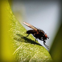 /album/mi-web/photolia-a04-jpg/