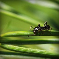 /album/mi-web/photolia-a05-jpg/