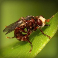 /album/mi-web/photolia-a06-jpg/