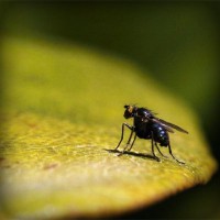 /album/mi-web/photolia-a07-jpg/