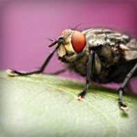 /album/mi-web/photolia-a08-jpg/